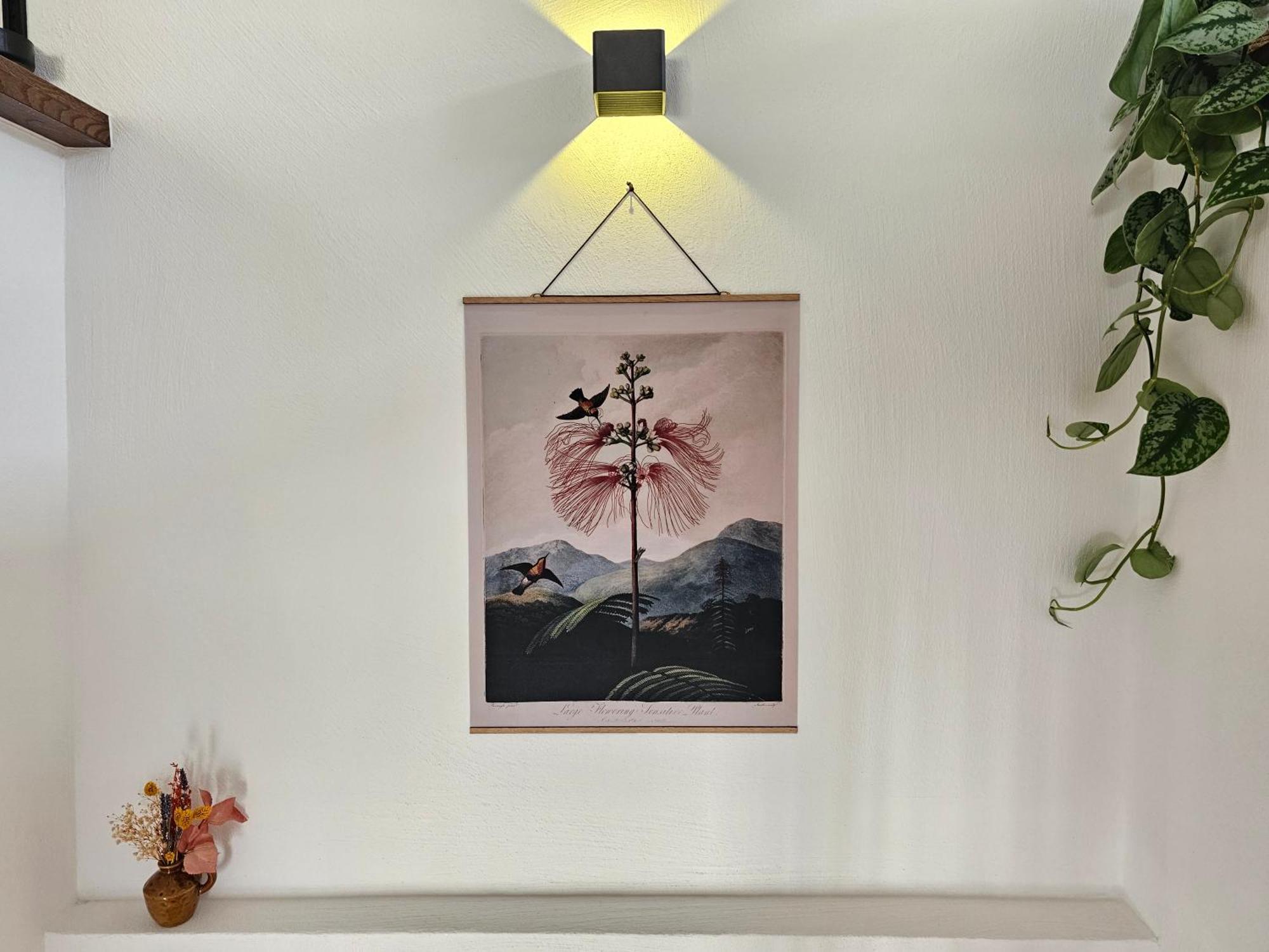 Kolibri - Design Maisonette - Nintendo Switch, Streaming, Bikestore, E-Wallbox Marburg Eksteriør bilde